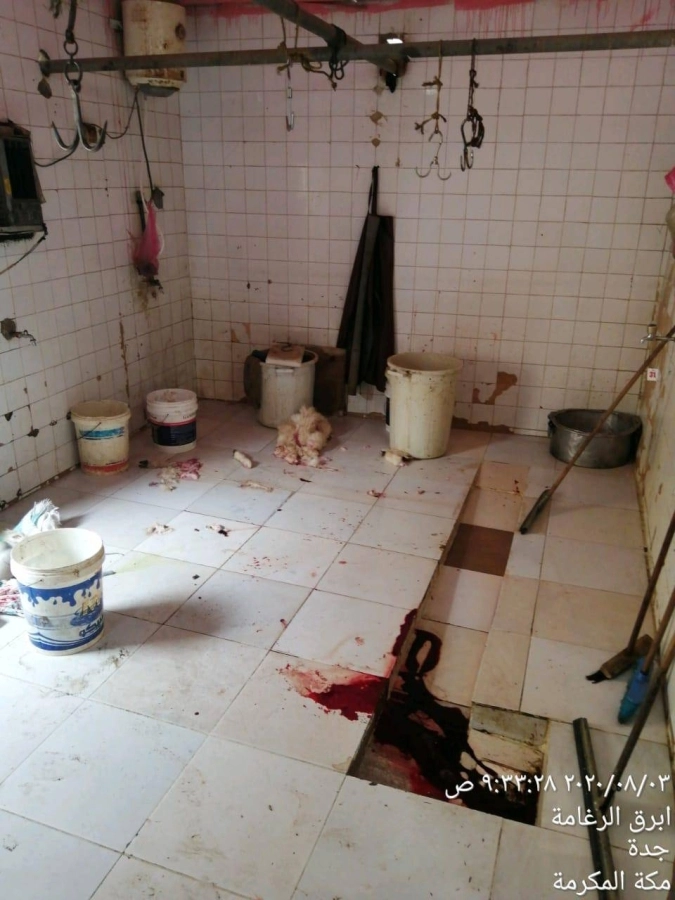  بلدية أم السلم الفرعية