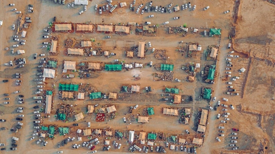 130 ألف أضحية استقبلتها مسالخ المنطقة خلال أيام  (أمانة الرياض) العيد