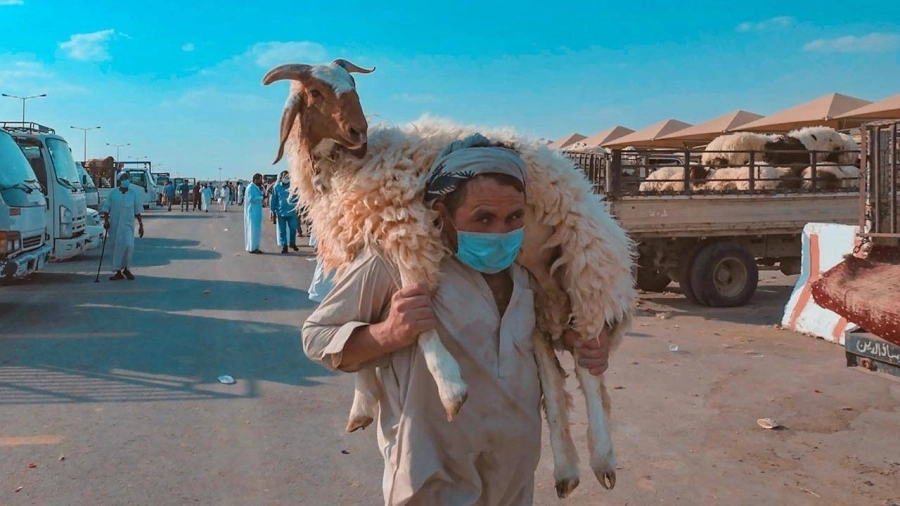 130 ألف أضحية استقبلتها مسالخ المنطقة خلال أيام  (أمانة الرياض) العيد