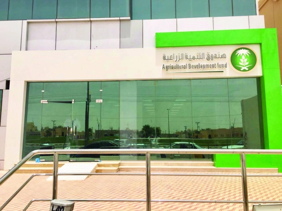 






صندوق التنمية الزراعية