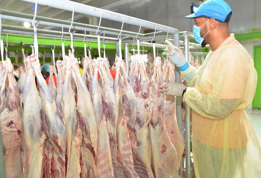 بعض من الأضاحي (واس)