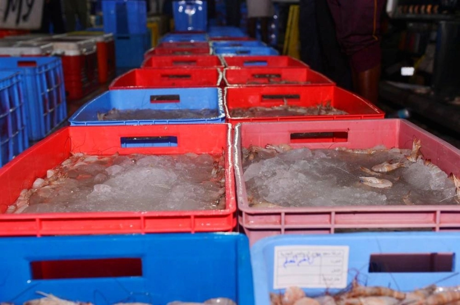 صناديق الروبيان في سوق السمك     