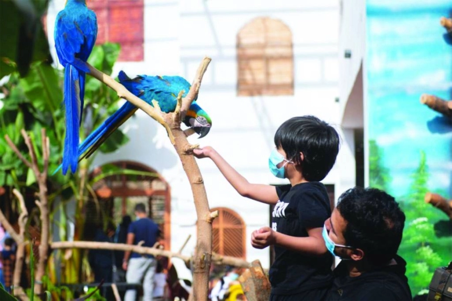 






طفل يطعم أحد الطيور بالحديقة                          (مكة)