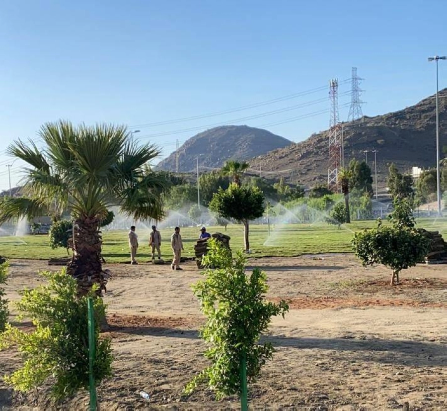 إحدى الحدائق بالطائف                                    (مكة)