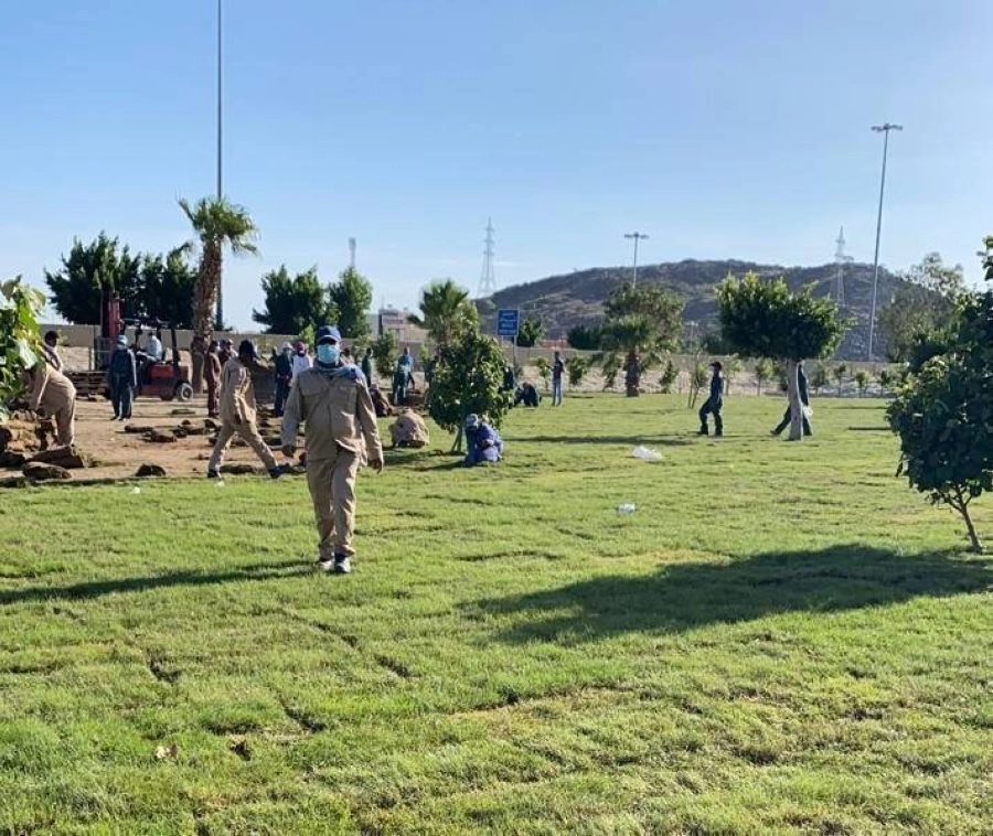 إحدى الحدائق بالطائف                                    (مكة)