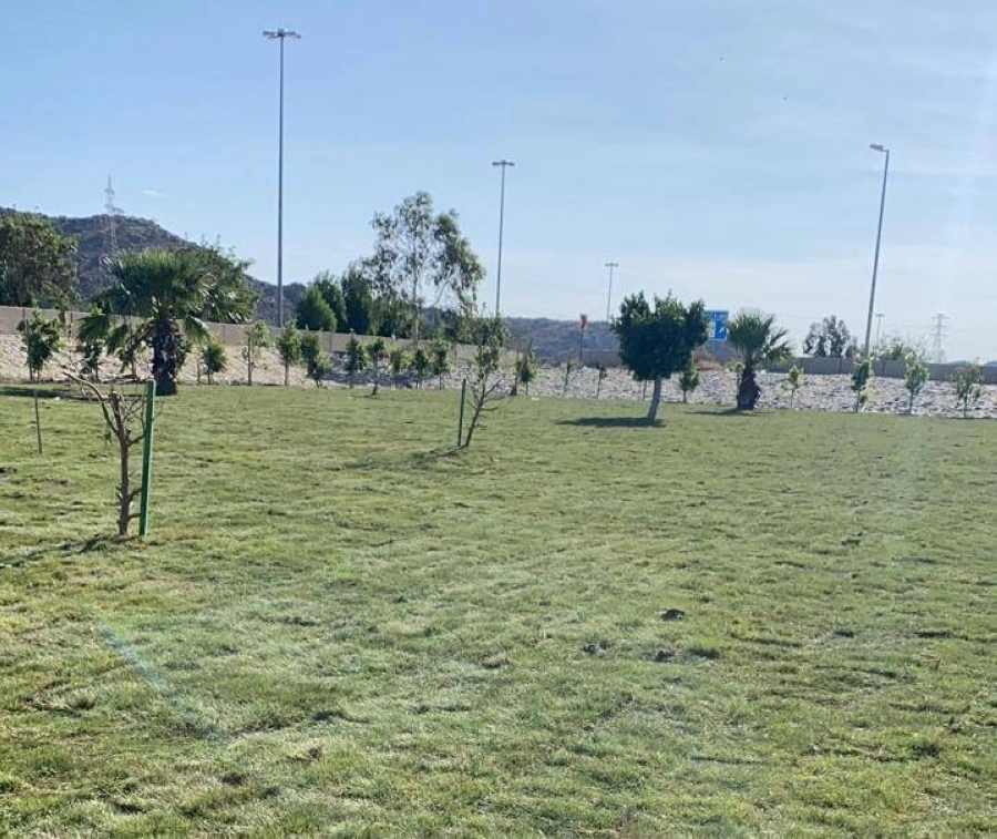 إحدى الحدائق بالطائف                                    (مكة)