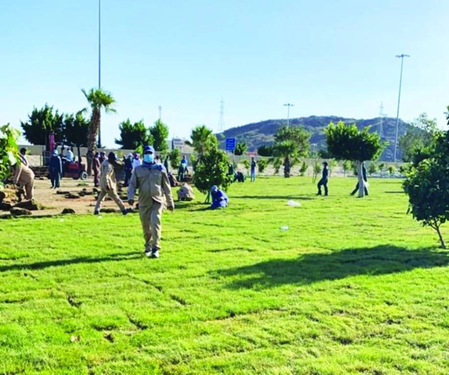 إحدى الحدائق بالطائف                                    (مكة)