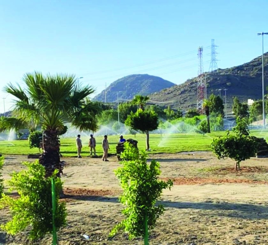 إحدى الحدائق بالطائف                                    (مكة)