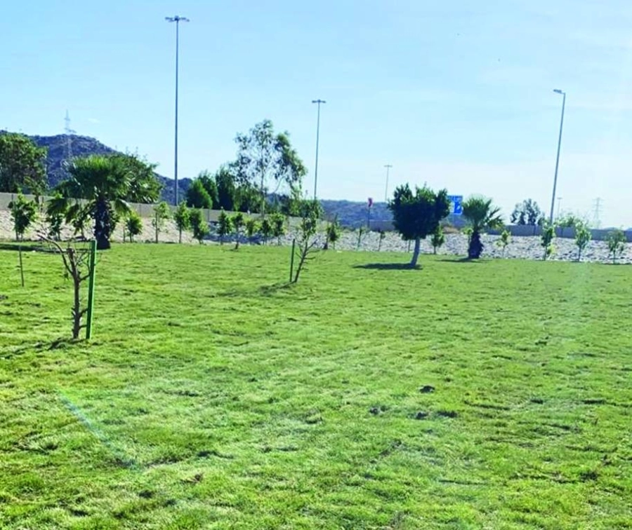 إحدى الحدائق بالطائف                                    (مكة)