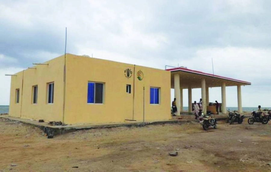 مركز الإنزال السمكي بتعز (واس)