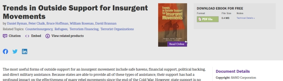 تقرير موقع رند عن "اتجاهات الدعم الخارجي لحركات المتمردين"