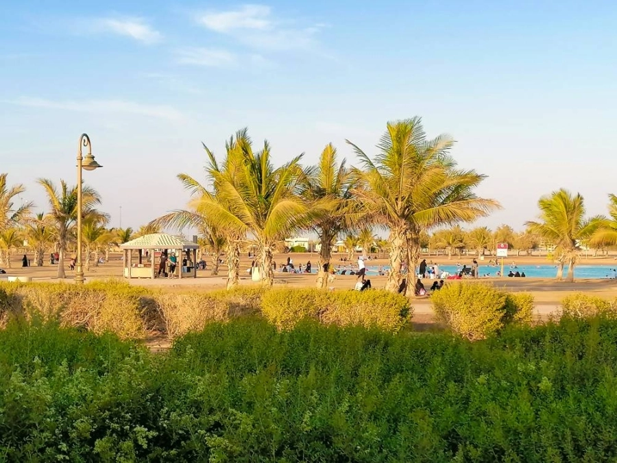 عدد من المتنزهين على شاطئ الهيئة الملكية في ينبع (أنس الحارثي) 