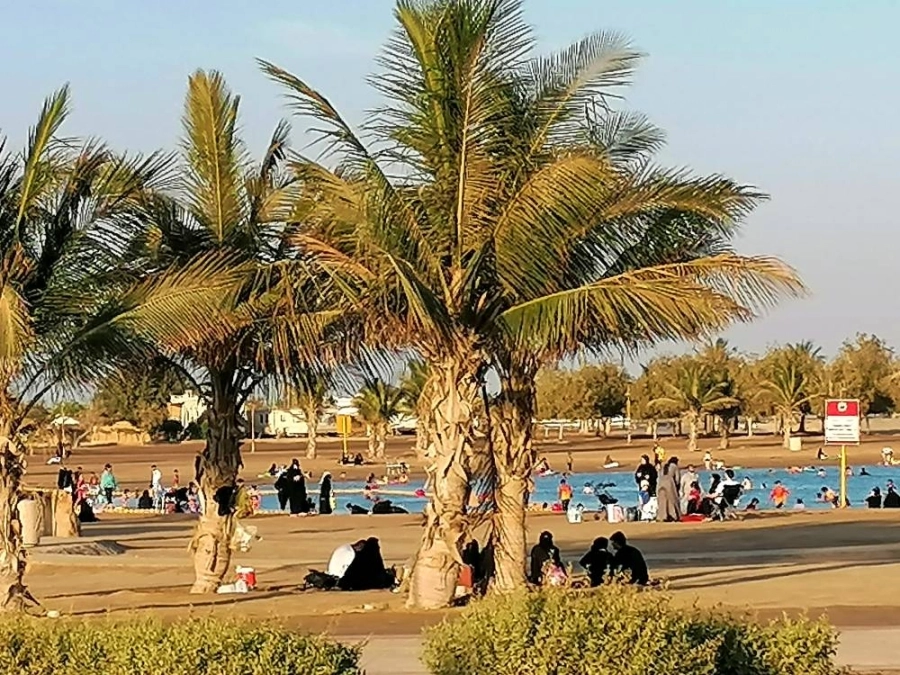 عدد من المتنزهين على شاطئ الهيئة الملكية في ينبع (أنس الحارثي) 