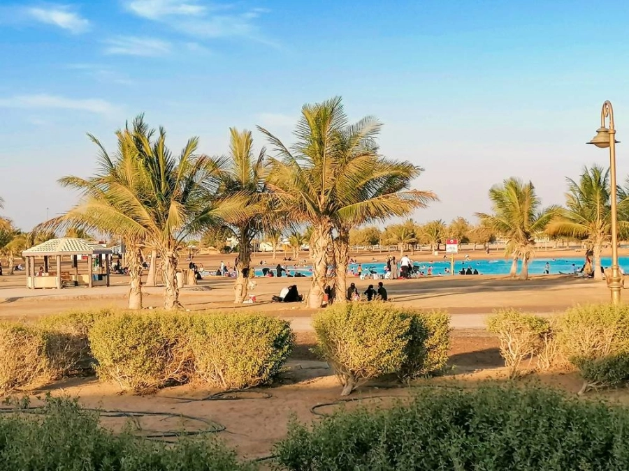 






عدد من المتنزهين على شاطئ الهيئة الملكية في ينبع                                                       (أنس الحارثي)