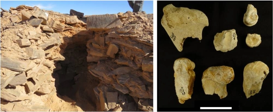 يعود تاريخها إلى أكثر من 7000 عام