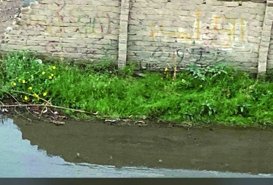 






طفوحات الصرف الصحي