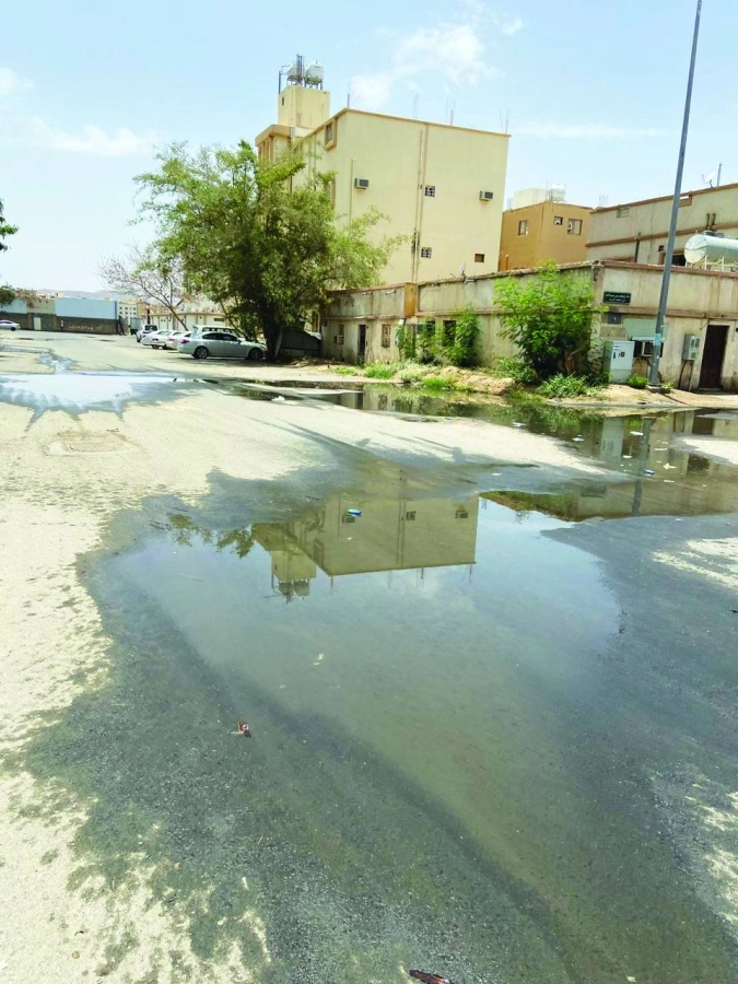 






المياه الآسنة تغطي الشوارع      (مكة)