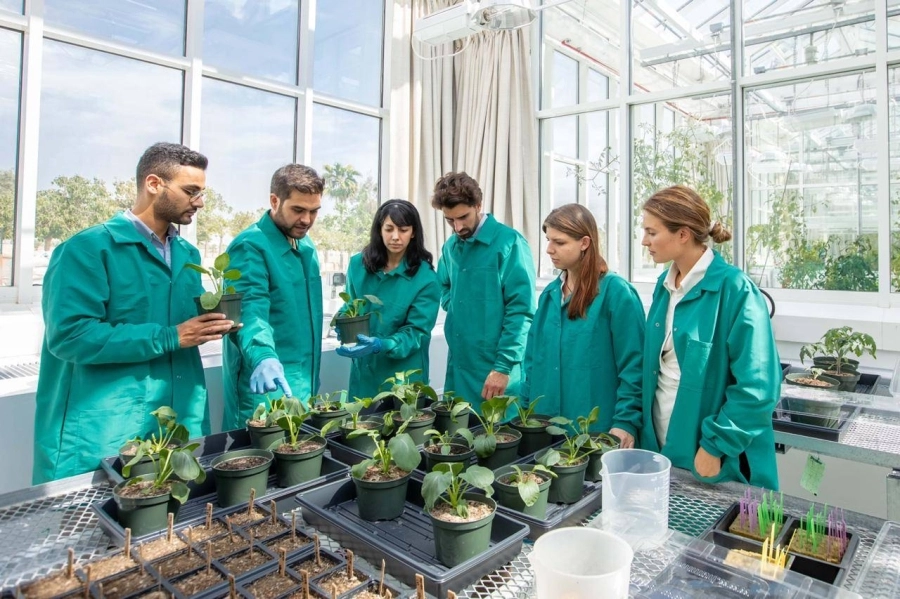 شركة "إدامة للحلول العضوية" الناشئة في كاوست