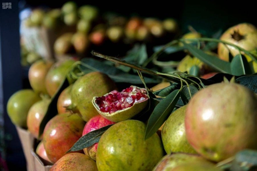 مذاق خاص لرمان الباحة                                                                                                                                                                                 (مكة)