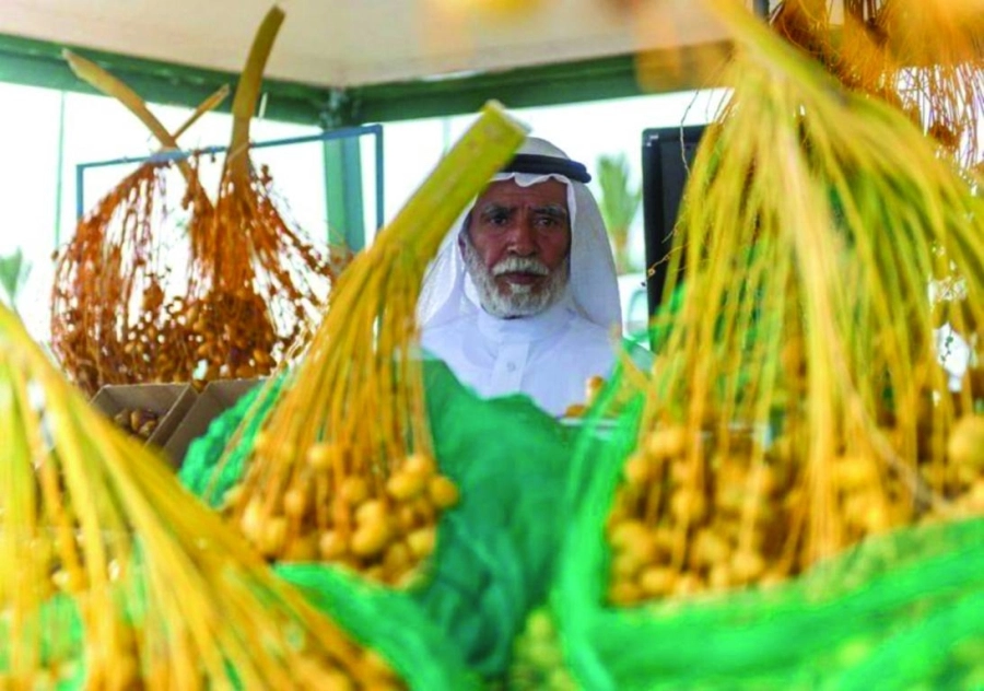 تستعد أسواق محافظة العقيق بمنطقة الباحة لاستقبال 40 ألف طن من منتجات مزارع النخيل التي تبلغ 1600 مزرعة تضم 135 ألف نخلة، تنتج رطب الصفري والخضري والسري، ويتراوح سعر الكيلو الواحد منها حسب السعر المتداول بين 15 و40 ريالا.
