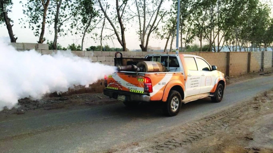 






من أعمال مكافحة البعوض                                        (مكة)