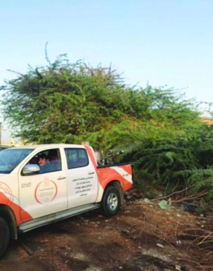 من أعمال مكافحة البعوض (مكة)  