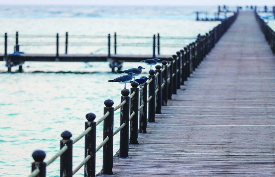 الممشى البحري بجدة (مكة)