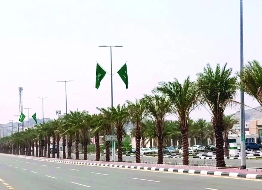 طرقات وشوارع وميادين تتزين بالأعلام الوطنية والإضاءات الخضراء والإنارات التفاعلية واللوحات الاحتفالية للاحتفاء باليوم الوطني
