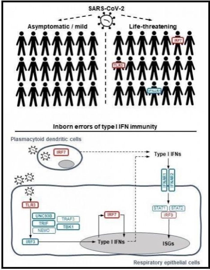 مجلة " ساينس" العلمية تنشر دراسة عالمية شاركت فيها جامعة الملك سعود ومدينة الملك عبدالعزيز للعلوم والتقنية لمعرفة الأسباب الوراثية لحالات كورونا الخطرة ( واس )