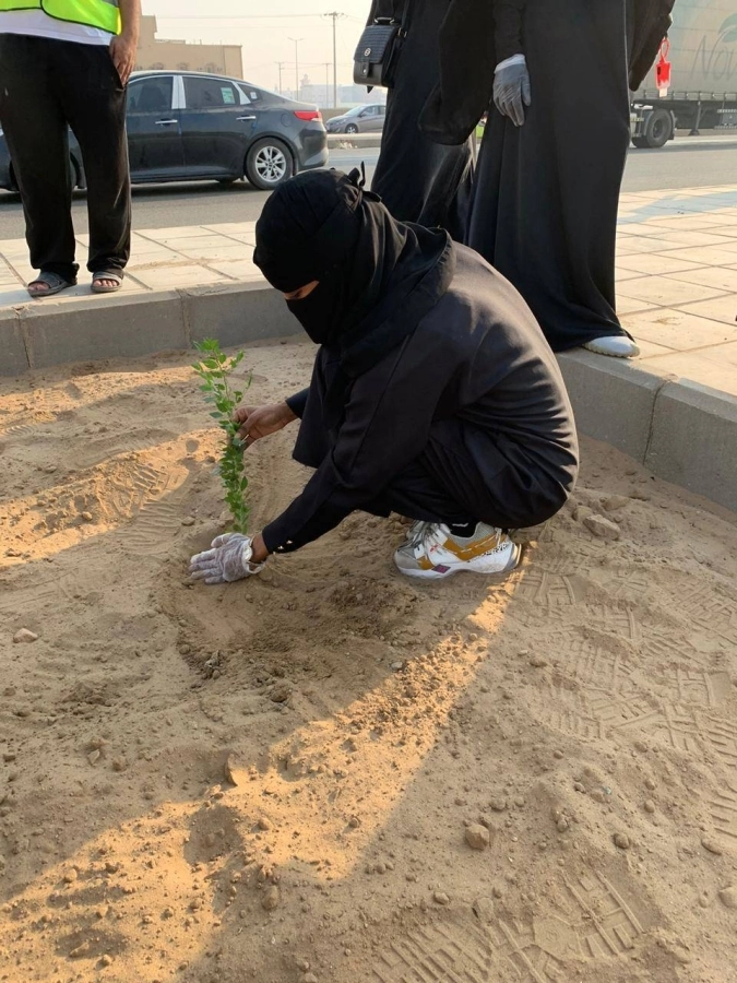 مبادرة التشجير