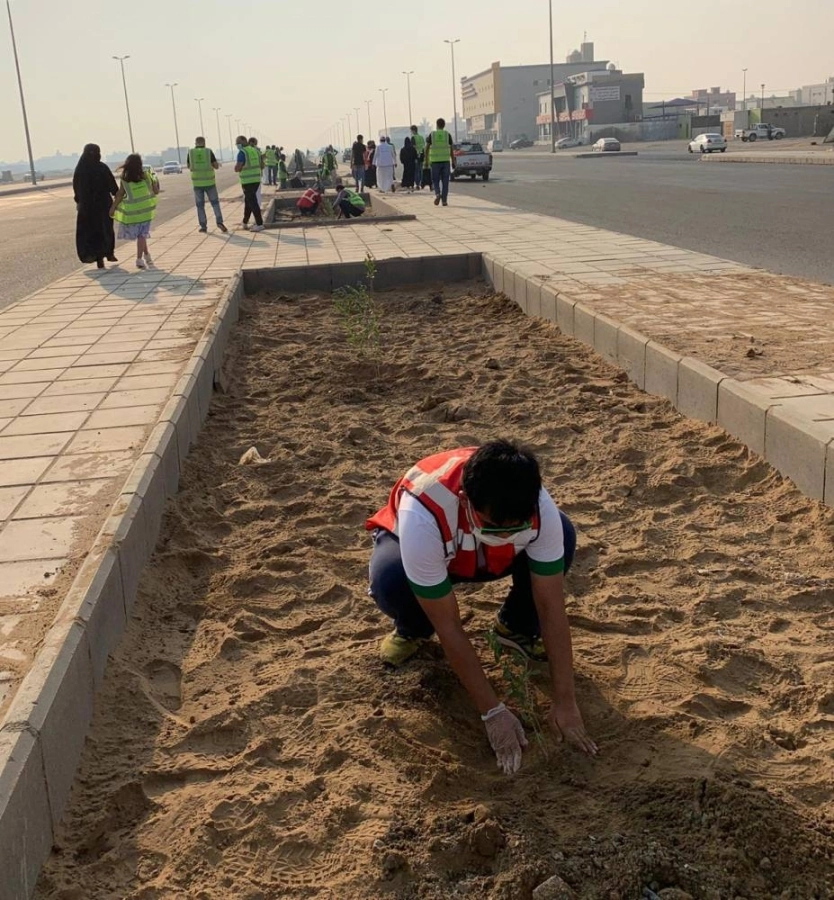 مبادرة التشجير