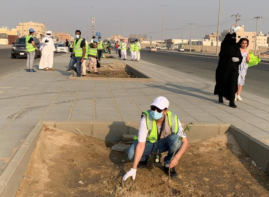 مبادرة التشجير