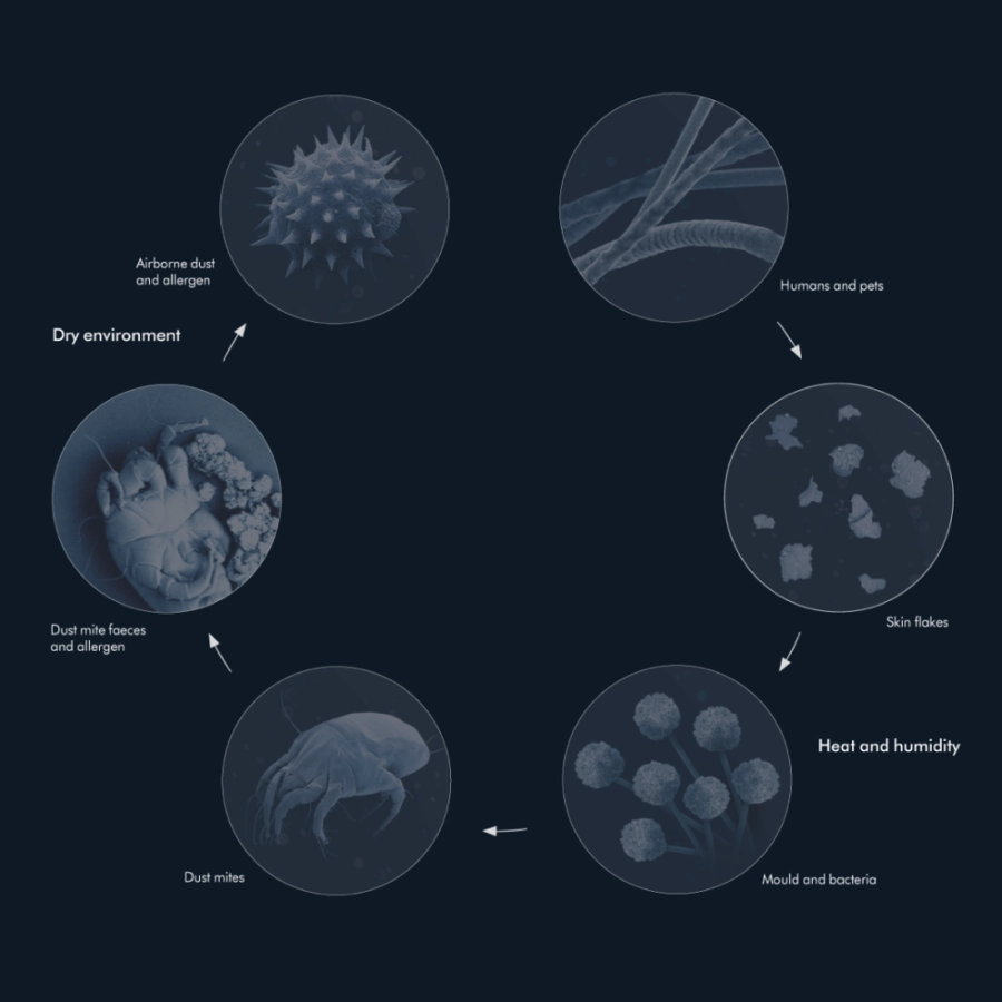 قاطنو السعودية معرضون لزيادة خطر الإصابة بالحساسية إذا لم يتم التخلص من الغبار الخفي