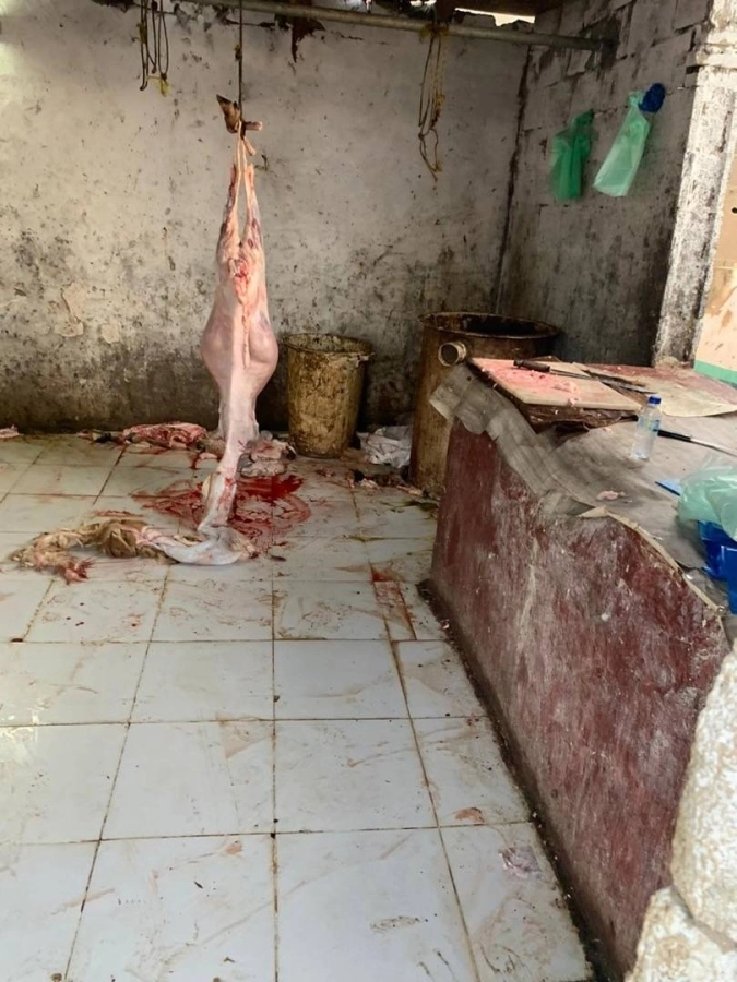 أمانة جدة تزيل مسلخا مخالفا ومواقعا لتصنيع الاسفنج بنطاق المليساء