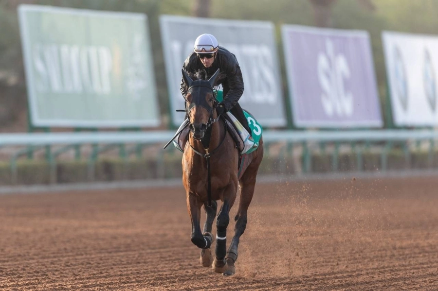 فعاليات منافسات "كأس السعودية"