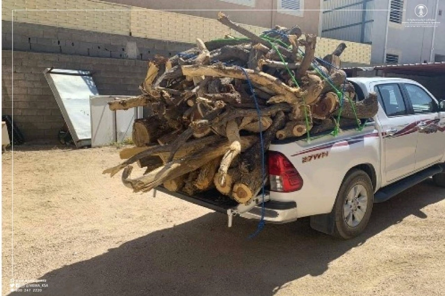 






من حملة مصادرة الحطب                                                            (مكة)