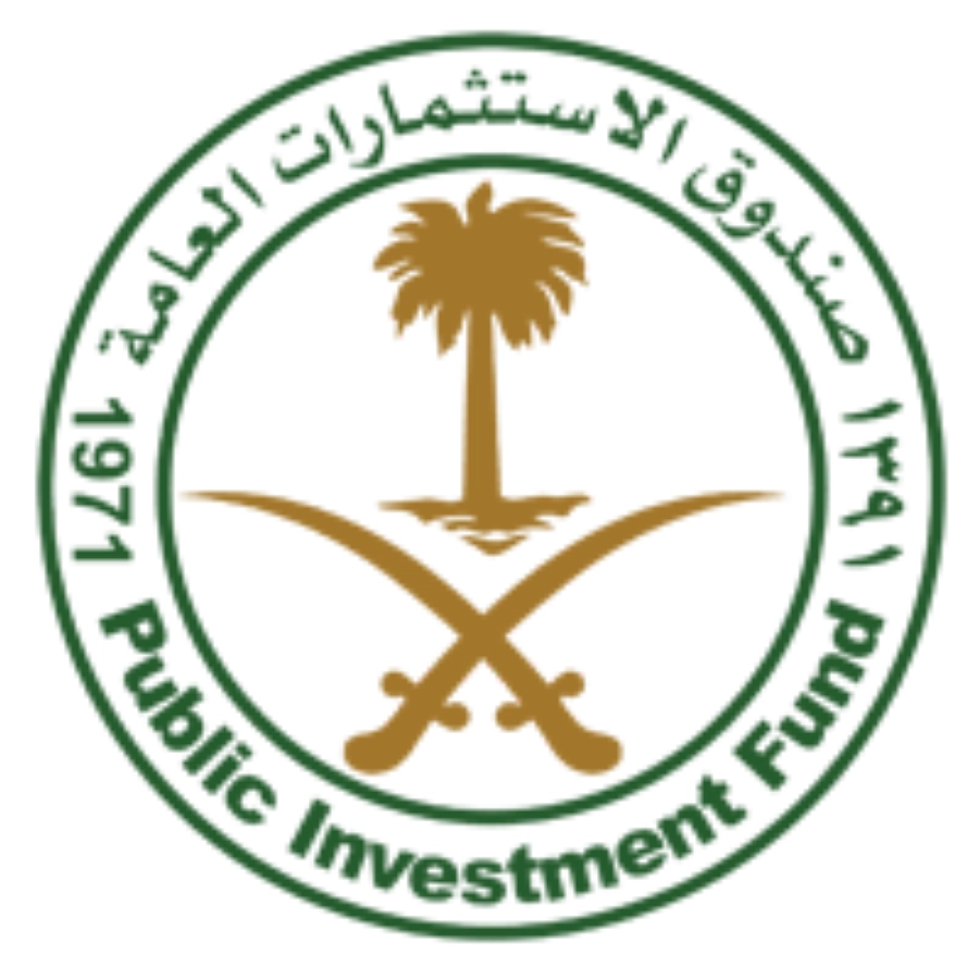 صندوق الاستثمارات العامة 