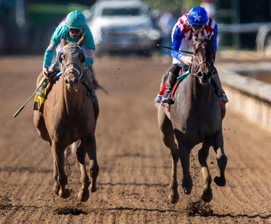 الجياد السعودية تنافس في "مهرجان البريدرز كب" العالمي