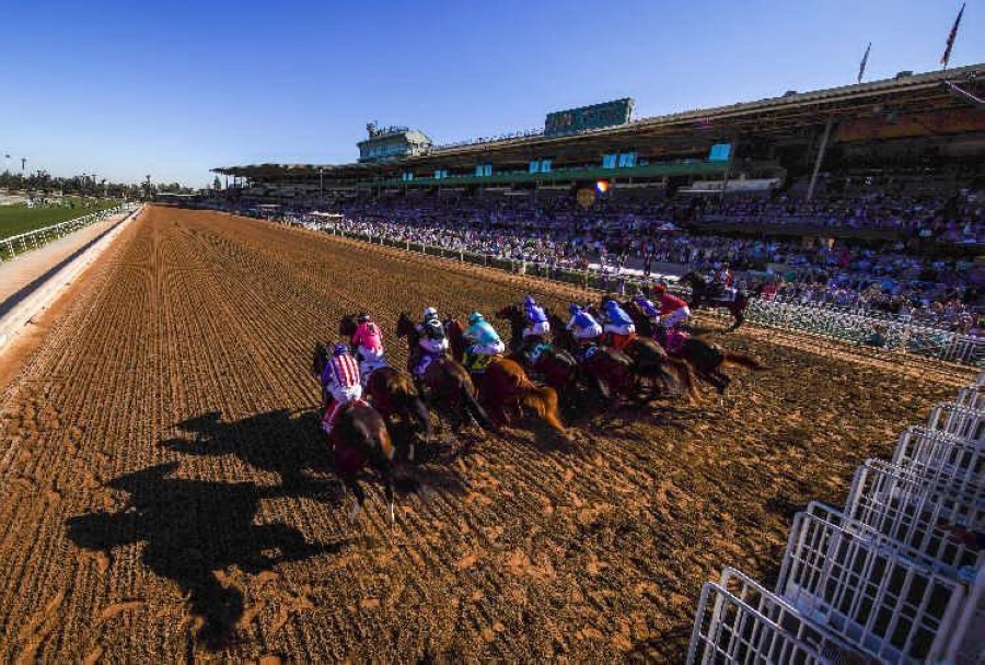 الجياد السعودية تنافس في "مهرجان البريدرز كب" العالمي