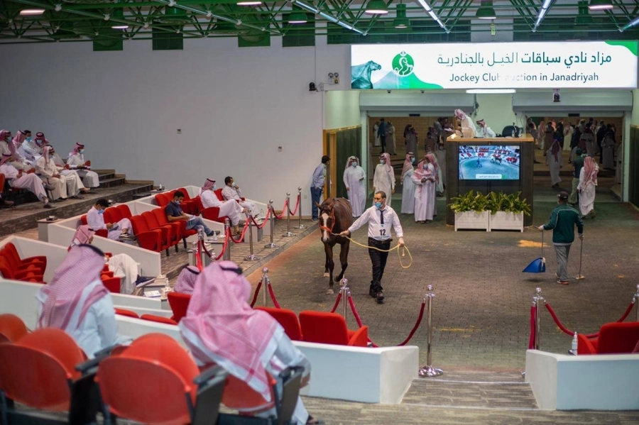 جانب من مزاد سباقات الخيل ( مكة ) 