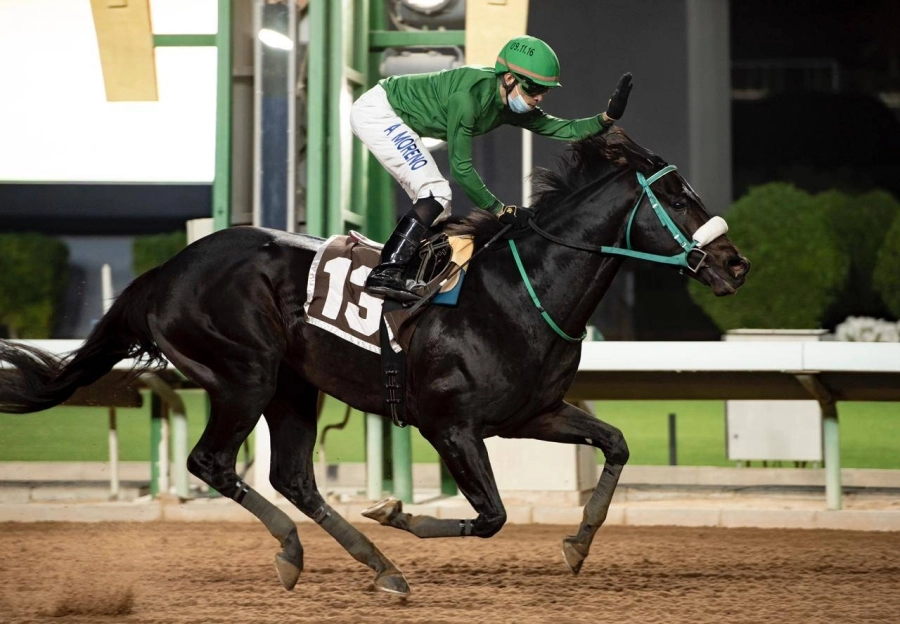 "النجم الباهر" يخطف جائزة نادي سباقات الخيل التقديرية
