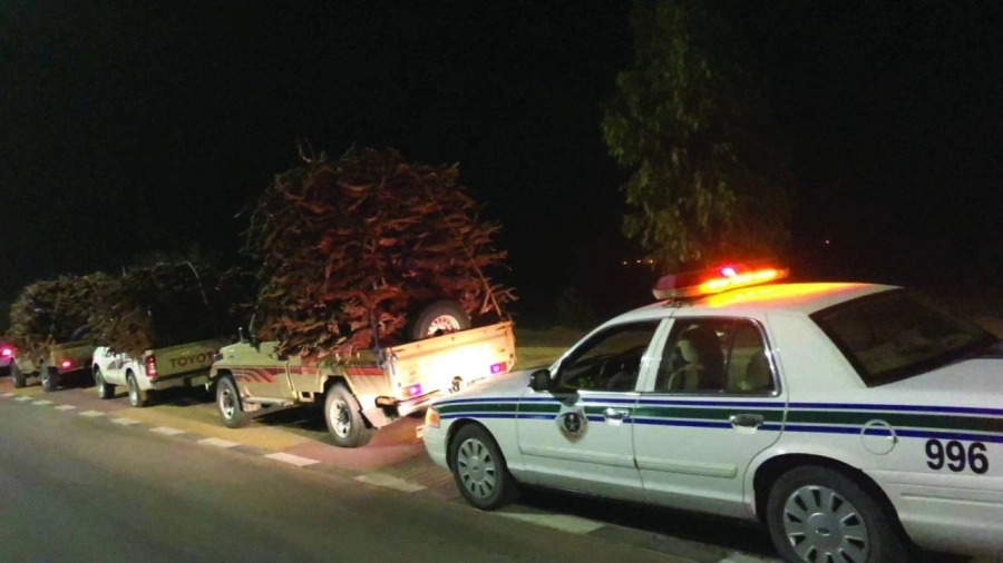 






أمن الطرق خلال ضبط المركبات المخالفة                         (مكة)