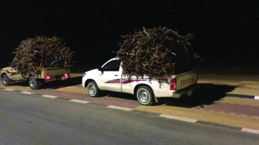 المركبات المخالفة      