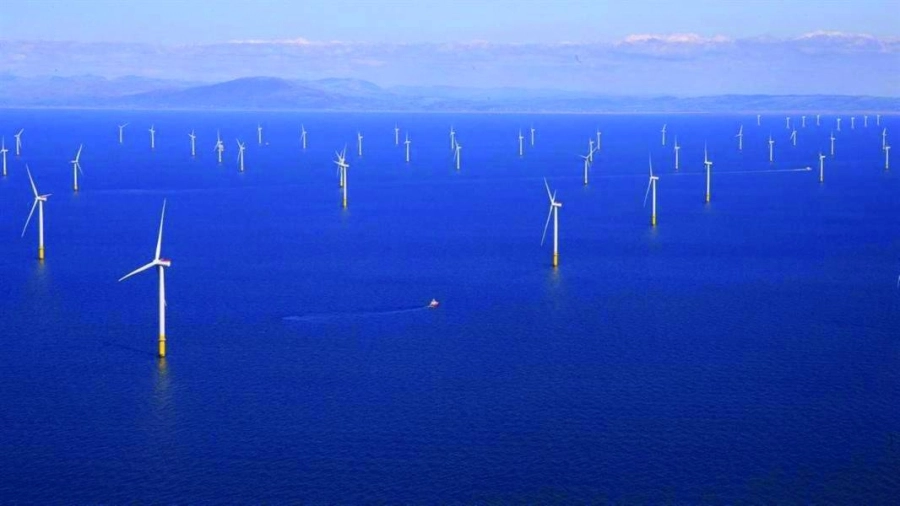 مزرعة عالمية لتوليد طاقة الرياح                                                           (مكة)