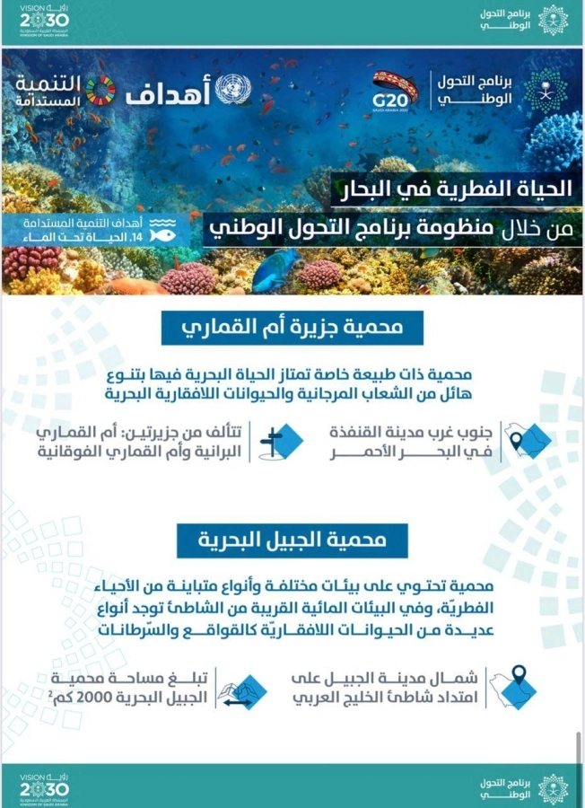 جانب من إنجازات التحول الوطني