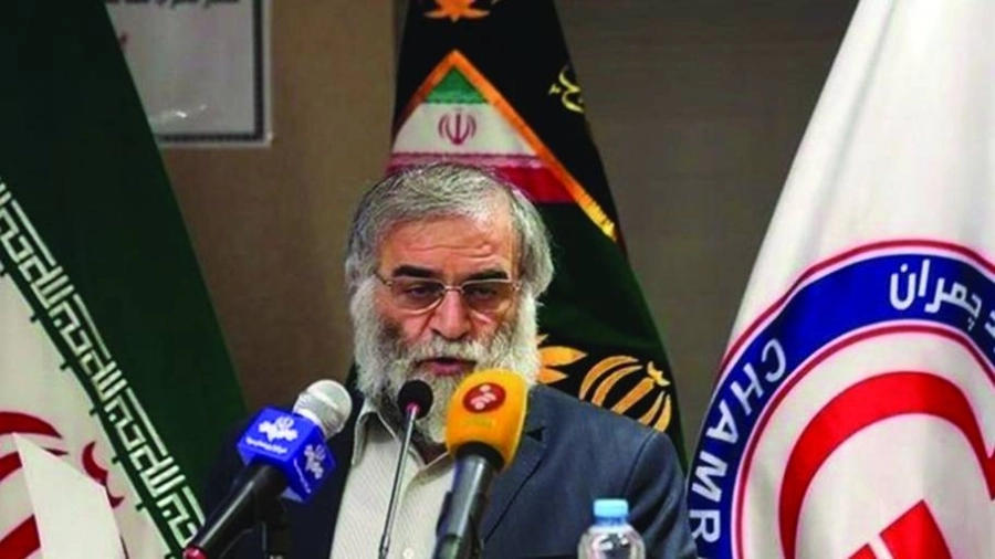 






محسن فخري زاده