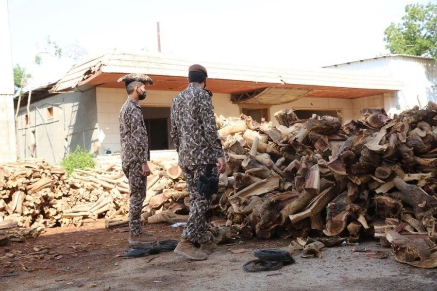 القوات الخاصة للأمن البيئي تضبط 93 طناً من الحطب المحلي المعد للبيع في مدينة الرياض (واس)