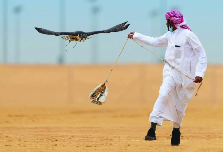 






من مهرجان الملك عبدالعزيز للصقور                    (مكة)