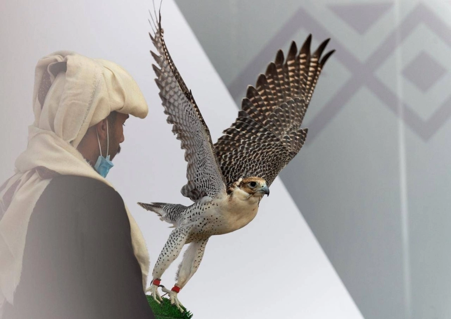 مهرجان الملك عبدالعزيز للصقور 