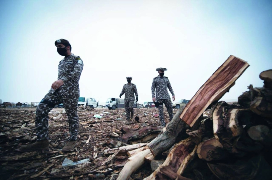 






القوات الخاصة للأمن البيئي خلال ضبط الحطب                                         (مكة)